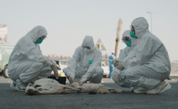 استعداداً لموسم الحج.. وقاء مكة ينظم تجربة فرضية للسيطرة على الأمراض الحيوانية