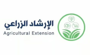 “الإرشاد الزراعي”: نقص هذه العناصر والري بمياه عالية الملوحة يسبّبان تساقط أزهار الرمان وثماره