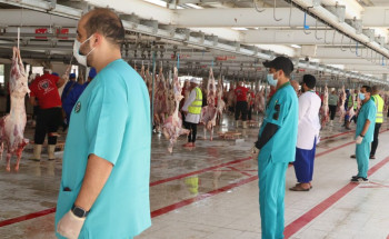 وقاء يفسح أكثر من مليون رأس مواشي للدخول إلى العاصمة المقدسة