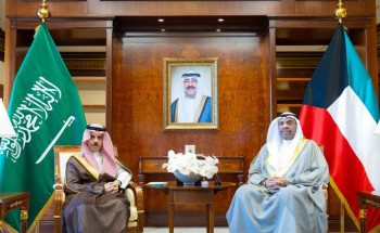وزير الخارجية يلتقي وزير خارجية دولة الكويت