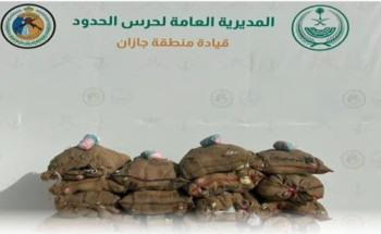 جازان.. حرس الحدود يحبط تهريب 220 كلجم من نبات القات المخدر