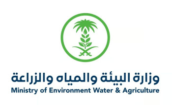 350 موظفًا.. “بيئة الرياض” تبدأ تنفيذ خطتها لإدارة المسالخ والأسواق في عيد الأضحى