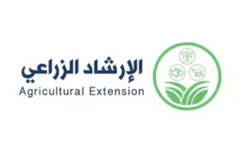 “الإرشاد الزراعي” ينصح بتجنب تقديم الأعلاف الملوثة أو الفاسدة للأغنام