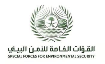 الشرقية.. ضبط مقيم لتلويثه البيئة بتفريغ مواد خرسانية