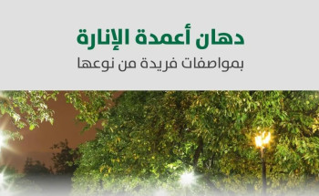 بمواصفات تعزز السلامة.. تطبيق طلاء أعمدة الإنارة المضاد للالتصاق والصعق الكهربائي بالرياض