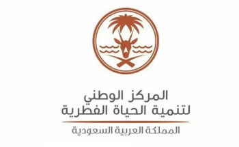 الحياة الفطرية: ولادة 4 أشبال للفهد الصياد واكتمال استراتيجية الحفاظ عليه