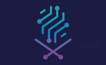 لزيادة الموثوقية.. “الحكومة الرقمية” تطلق مؤشر كفاءة المواقع الإلكترونية والمحتوى الرقمي