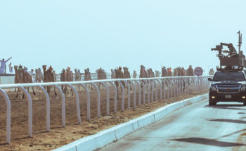 غدًا.. انطلاق المرحلة النهائية من مهرجان ولي العهد للهجن