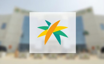 عقود استقدام خدمات العمالة المنزلية آخر 6 أشهر.. 412.399 عقدًا من 33 دولة