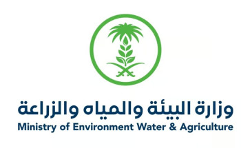 خلال أغسطس الجاري.. أسواق المملكة تستقبل 11 نوعًا من الفاكهة المحلية الطازجة