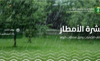 45 محطة ترصد هطول أمطار في 7 مناطق آخر 24 ساعة.. ومكة المكرمة تسجّل أعلى كمية