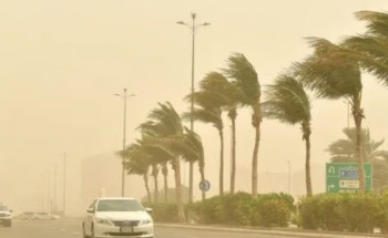 الأرصاد: رياح شديدة على منطقة المدينة المنورة