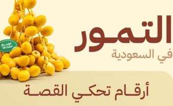 “البيئة”: السعودية تعزز ريادتها في إنتاج التمور بأكثر من 1.6 مليون طن