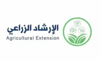 تستمرّ حتى أواخر أكتوبر.. “مواعيد زراعة الثوم ونصائح” من “الإرشاد الزراعي”