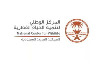 “الحياة الفطرية”: التخلص السليم من بقايا الطعام يجنبك “أضرار قرود البابون”