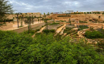 برنامج الرياض الخضراء يعلن افتتاح تطوير شعيب غذوانة أحد روافد وادي حنيفة بعد تأهيله وتشجيره