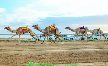 السعوديون يسيطرون على كؤوس مهرجان ولي العهد