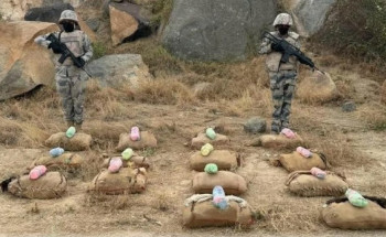 حرس الحدود بعسير يحبط تهريب 432 كيلوجرامًا من نبات القات المخدر