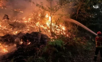 مصرع 3 رجال إطفاء في البرتغال وسط استمرار مكافحة حرائق الغابات