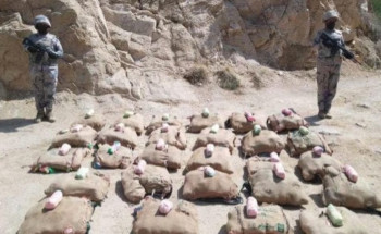 بالمرصاد.. حرس حدود جازان يحبط تهريب 195 كجم من “القات المخدر”