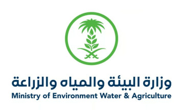 رقم قياسي.. السعودية تنتج 558 مليون كجم من لحوم الدواجن في النصف الأول 2024م