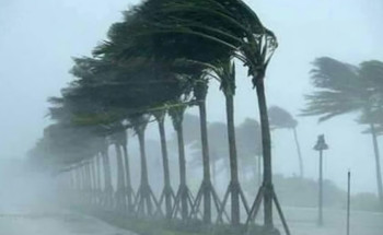 تصل سرعتها إلى 49 كم/ساعة.. “الأرصاد”: رياحٌ شديدة على ينبع والرايس