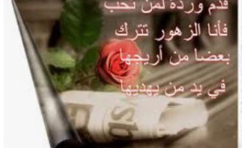 🌷 وبها تصفو الحياة