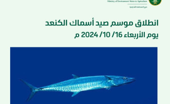 الأربعاء 16 أكتوبر.. انطلاق موسم صيد «الكنعد» 2024 بعد حظره شهرين