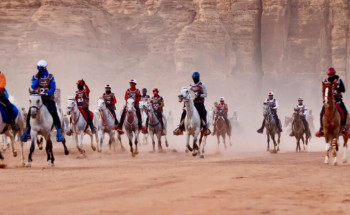 العلا تستضيف سباق كأس وزارة الرياضة للقدرة والتحمل بمشاركة أكثر من 200 فارس وفارسة