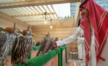 “الصقور” تتصدر المشهد في معرض الصقور والصيد السعودي الدولي 2024