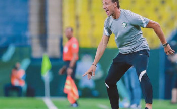 رسميا.. هيرفى رينارد مديرا فنيا لمنتخب السعودية