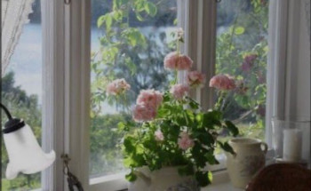 لحظات تعدِل حياة