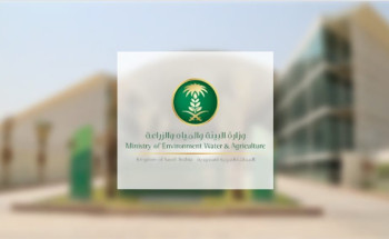 “البيئة” تحذّر من بيع مخططات على أراضٍ زراعية دون موافقتها