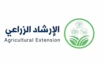 تعزّز نشاطها خلال النهار.. “الإرشاد الزراعي” ينصح بتقديم المكعبات الغذائية للإبل في الصباح