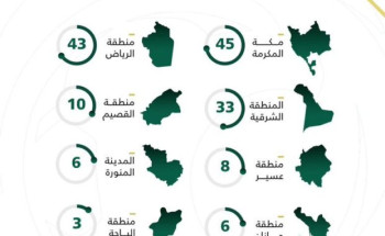 اعتماد تسجيل 9 أندية خاصة و36 أكاديمية خاصة يحق لها المشاركة في المسابقات الرسمية