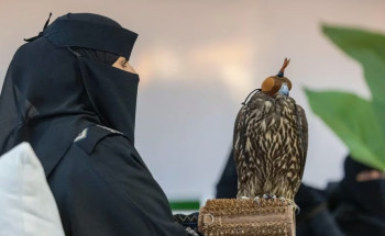 جوائز تتجاوز 36 مليون ريال وأرقام قياسية بمهرجان الملك عبدالعزيز للصقور 2024