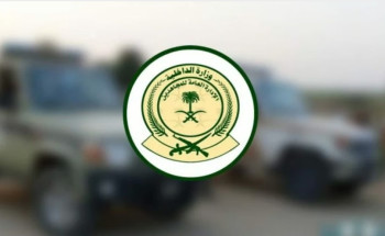 حائل.. دوريات المجاهدين تضبط مخالفًا لنظام البيئة بحوزته حطب محلي معروض للبيع