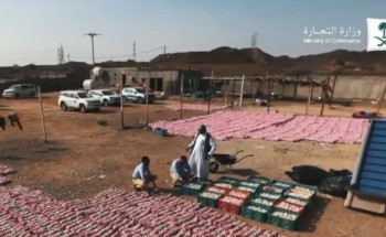 “التجارة” تضبط مستودعاً استغلته عمالة مخالفة بتخزين مواد غذائية منتهية الصلاحية