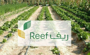 “ريف السعودية” يقدّم 2.4 مليار ريال للمستفيدين منذ إطلاقه