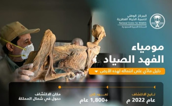 “الحياة الفطرية”: اكتشاف مومياوات الفهد الصياد يُثبت انتماءه للجزيرة العربية