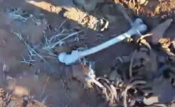 عظام وبقايا ملابس تعود لأكثر من 10 سنوات.. العثور على مقبرة جماعية بسوريا