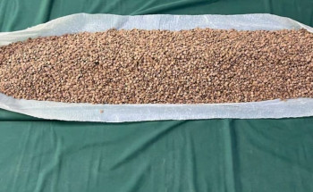 “مكافحة المخدرات” تحبط ترويج “إمفيتامين” بالباحة وتمنع تهريب “حشيش” بجدة