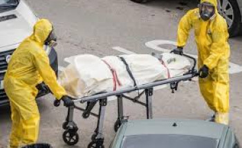 تسجيل أول حالة وفاة بشرية بسبب إنفلونزا الطيور في الولايات المتحدة