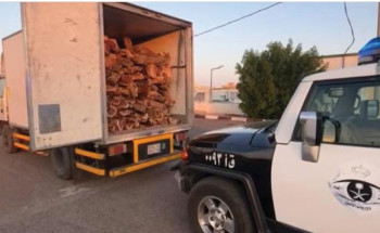 ضبط مواطن بحوزته حطب محلي معروض للبيع بمنطقة القصيم