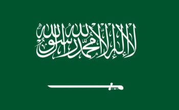 المملكة تؤكد التزامها بأحكام اتفاقية حظر الأسلحة الكيميائية وأهمية التنفيذ الكامل لها