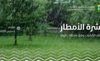 المدينة المنورة تسجل أعلى كمية لهطول الأمطار.. والبيئة ترصد أمطارًا في 6 مناطق