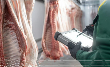 “البيئة” تعتمد الذكاء الاصطناعي لتعزيز الرقابة على المسالخ