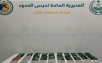 جازان.. إحباط تهريب 31 كيلوجرامًا من مادة الحشيش المخدر