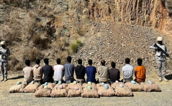 جازان.. حرس الحدود يقبض على 11 مخالفًا لتهريبهم 288 كلجم من نبات القات المخدر