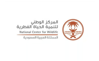 “الحياة الفطرية” تُعلن ولادة خمسة غزلان ريم في واحة بريدة العالمية